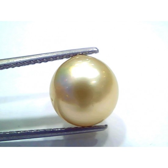 Huge 10.16 Ct Natural Certified Real South Sea Pearl Certified Moti